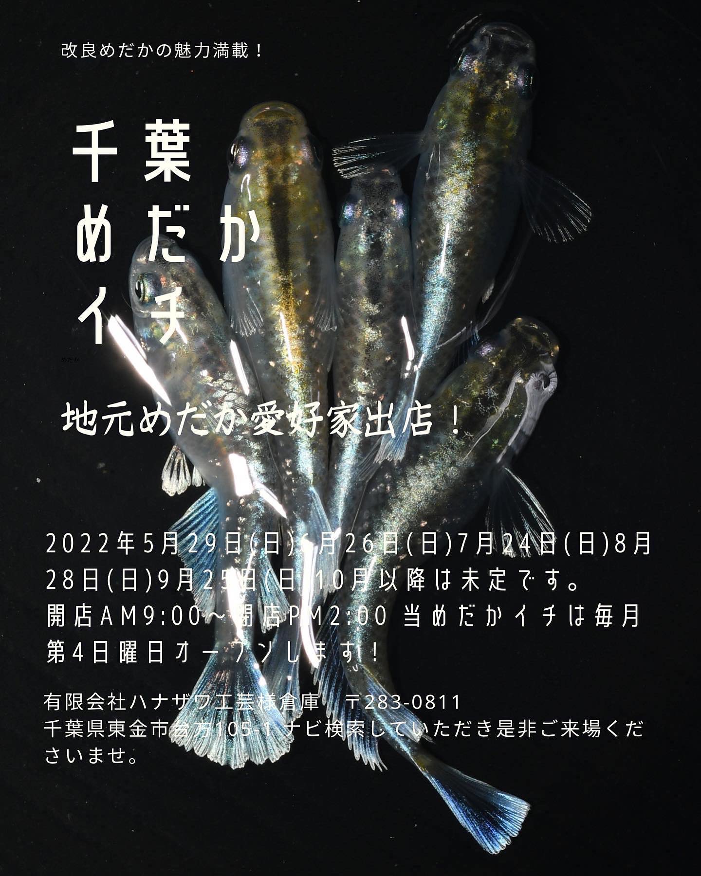 メダカ屋ライトニング Mjwodifxp6eughp Twitter