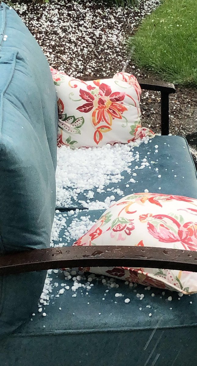 scottnel_6's tweet photo. When your dog decides it’s time to play ball right as a marble hailstorm starts https://t.co/u5UMLATf3k