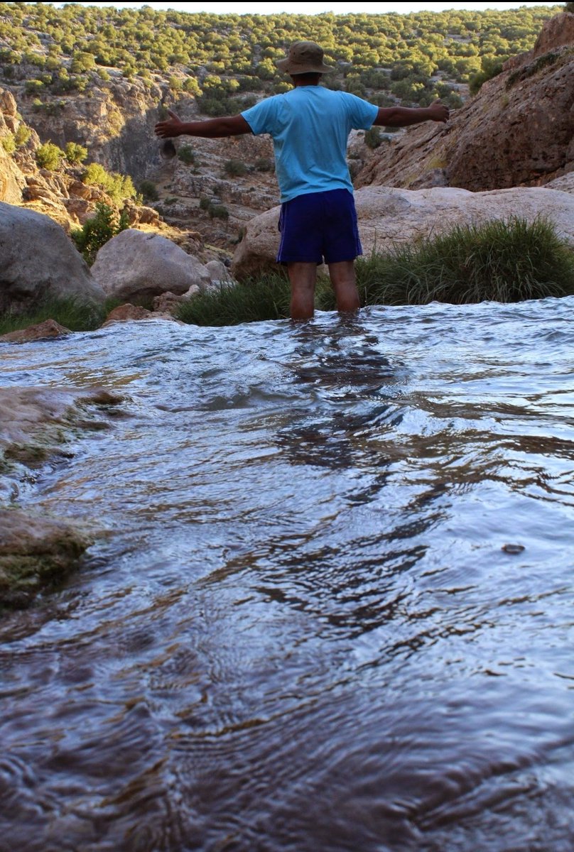 Gel! 
Zor olsada
Belki
Şehre umut olur gelişin
Mevsim döner
gün doğar yeniden
Tutturmuşlar çabuk geçiyor günler diye
Öyle değil başımın ağrısı öyle değil
Geçen zaman sadece ,gün değil
Sabah
çöpçülerle beraber yürüdüm o dar sokakta
Ve yüze kadar saydım ısrarla
Oturduğumuz park'ta