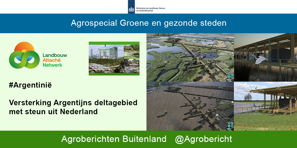 AgroBericht's tweet photo. #Agrospecial Groene en gezonde steden - Versterking Argentijns deltagebied met steun uit Nederland @AgriArgentinie https://t.co/UBwDHqfHYe https://t.co/g9GRqgcWk3