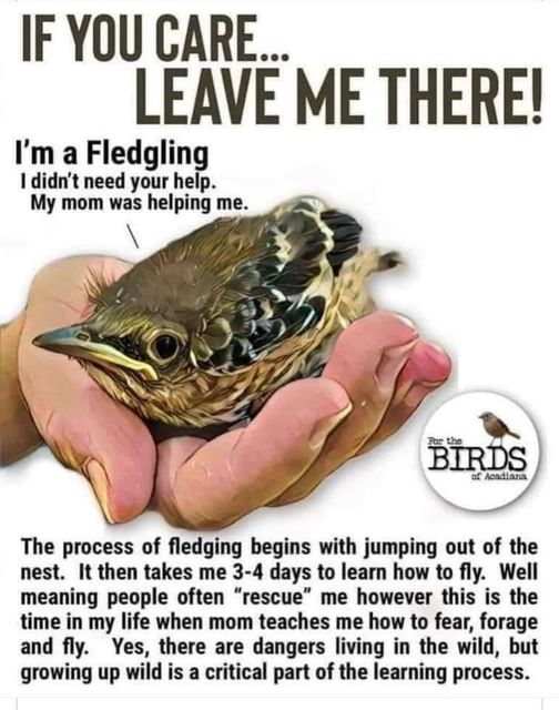 Mary Zientek Sulaiman (@zientekmary) on Twitter photo 