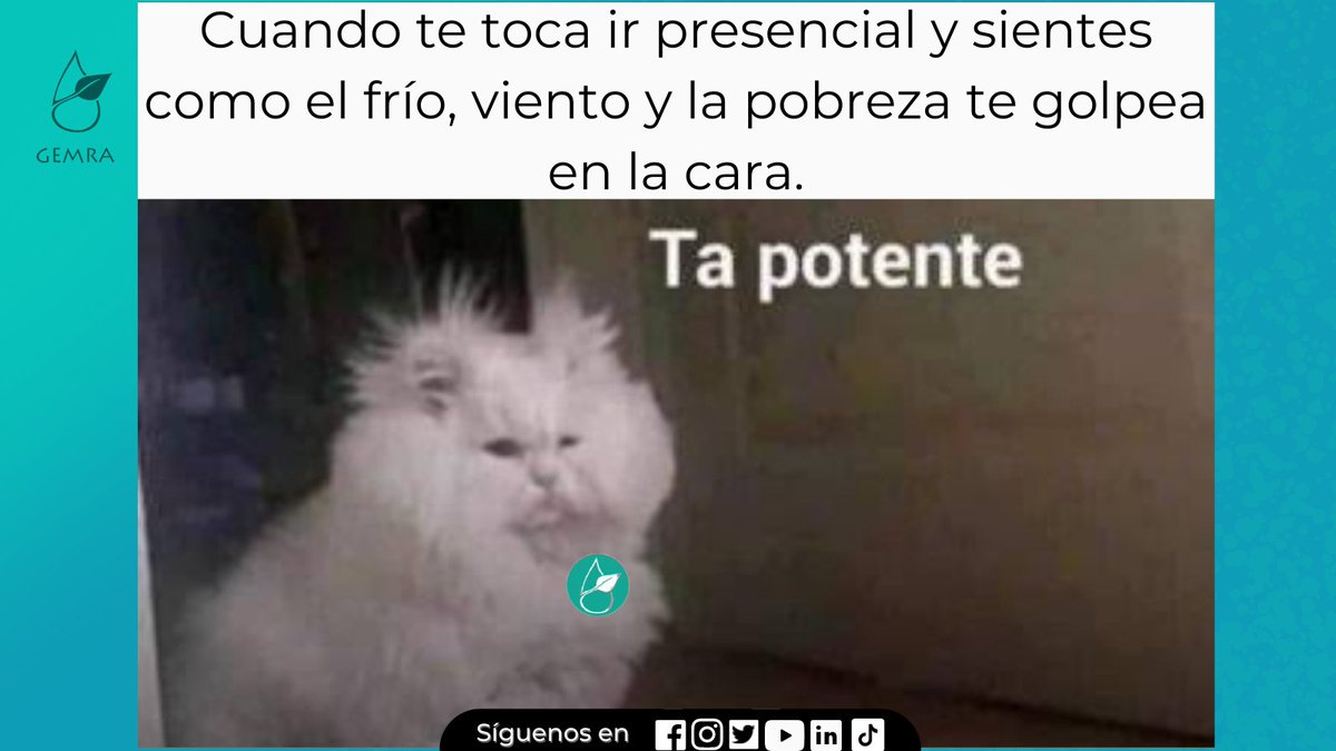 gemra_pucp's tweet photo. 😳 Que las temperaturas bajen por invierno no quita que el promedio anual sea cada vez más cálido por el calentamiento global 🤓 A abrigarse muchachos 💚😩sobre todo si te toca pasar por Mac Gregor  🌫🥶 #meme #MedioAmbiente https://t.co/MMaLdcM2uV