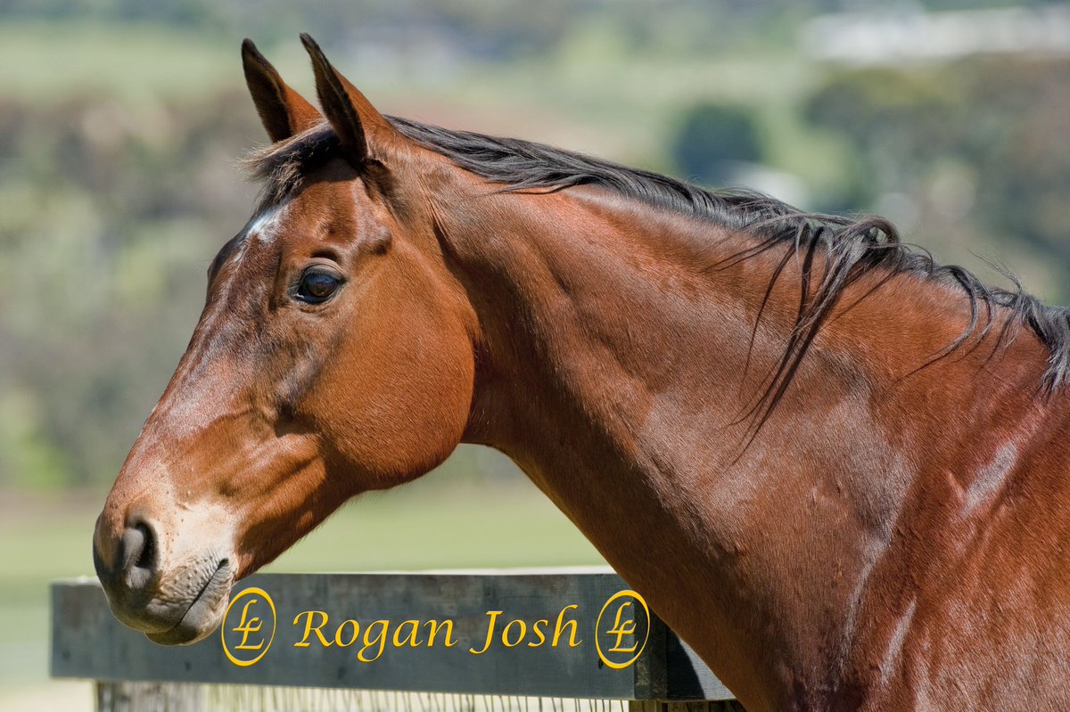 LivingLegendsAU's tweet photo. Vale Rogan Josh

Living Legends is very sad to announce that Rogan Josh passed away this morning, he was humanely euthanised following colic related complications.  

It is “the saddest of sad days” said our Living Legends CEO and Veterinary Director Dr Andrew Clarke. https://t.co/Wc9gCU4Y8K
