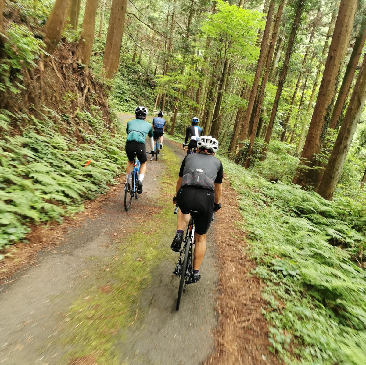 suzuki 自転車 草加 fb