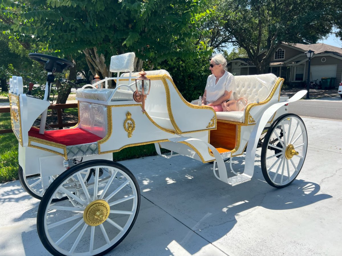 Something unique, exciting and really cool might be coming to Mount Dora very very soon!