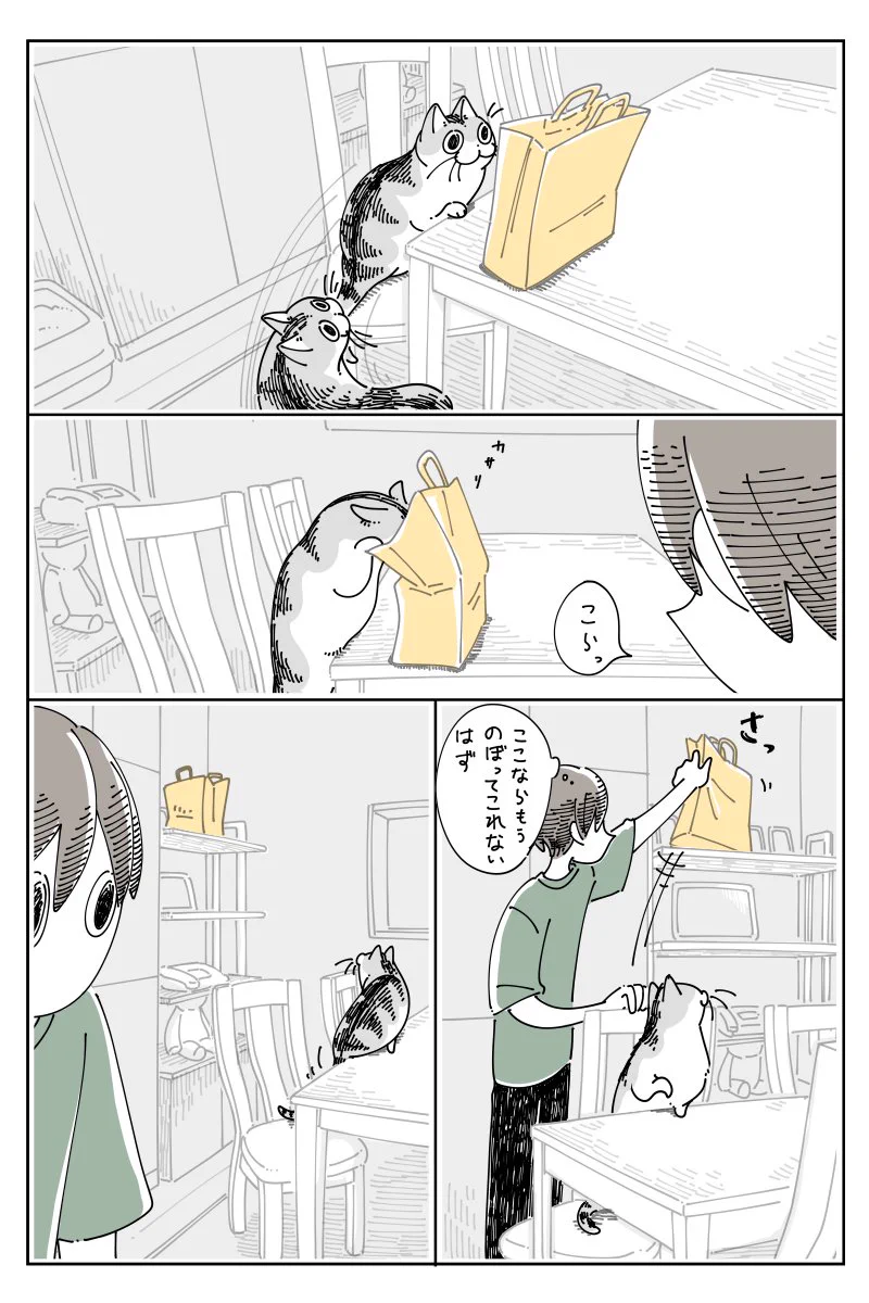 ここならのぼれないだろうと思うようなところへも軽々とのぼれちゃう猫！けれど降りるときは･･･！