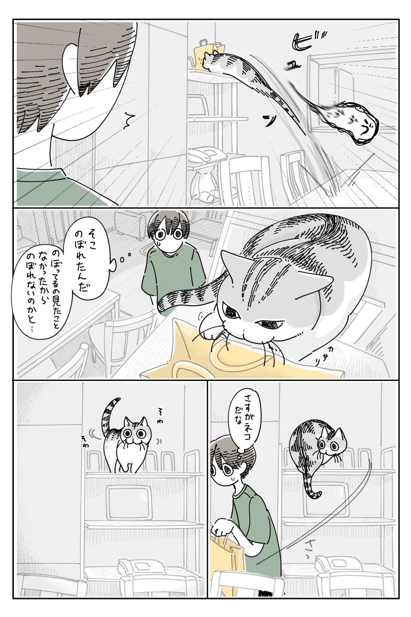 ここならのぼれないだろうと思うようなところへも軽々とのぼれちゃう猫！けれど降りるときは･･･！