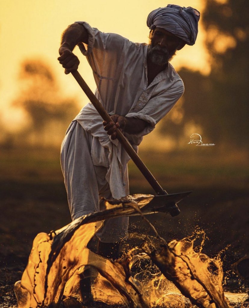 ਕਿਸੇ ਨੇ ਕਾਂਗਰਸ ਨੂੰ question ਨੀ ਕੀਤਾ ਕੇ ਤੁਹਾਡੇ 5 ਸਾਲਾਂ ਵਿਚ ਪਰਾਲੀ ਨਾ ਸਾੜਨ ਲਈ ਸੈਂਟਰ ਨੇ 1178 ਕਰੋੜ ਰੁਪਏ ਦਿਤੇ ਤੁਸੀਂ ਇਕ ਪੈਸਾ ਕਿਸਾਨਾਂ ਨੂੰ ਨਹੀਂ ਦਿੱਤਾ.. ਏਹ ਮੈਂ ਨਹੀਂ ਕਾਂਗਰਸ ਦਾ ਖੇਤੀ ਮੰਤਰੀ ਕਿਹ ਰਿਹਾ.

Congress supporters should ask this from their leaders..<a href="/BhagwantMann/">Bhagwant Mann</a> <a href="/capt_amarinder/">Capt.Amarinder Singh</a>