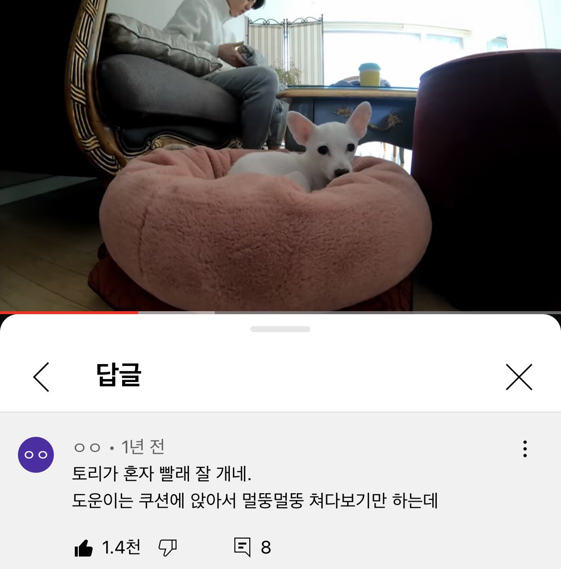 mingdayy's tweet photo. 도운이가 올려준 첫 브이로그(?)에서 제일 좋아하는 댓글이야 https://t.co/XFp2q0Pl3z