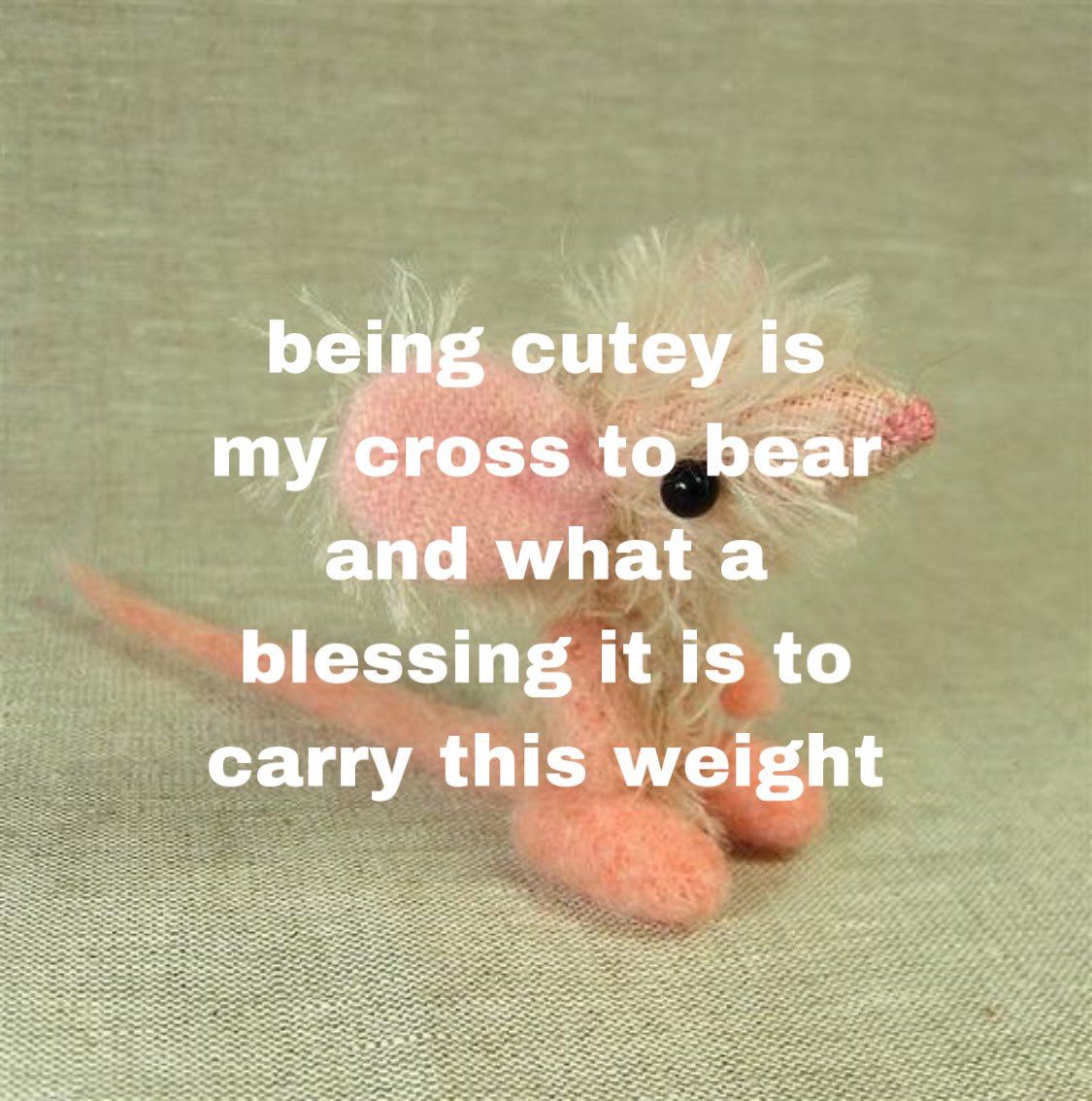 Anne Chovy tweet media