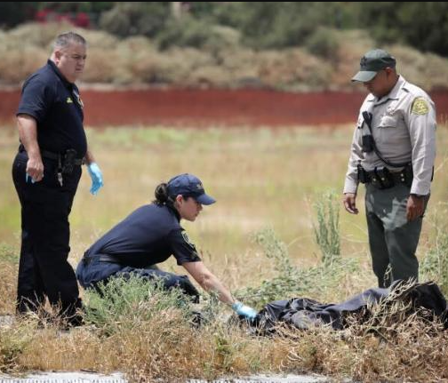 Delsu_Official's tweet photo. Woman and her 2 dogs killed by lightning strike near Los Angeles https://t.co/bmu64sZ0Cq https://t.co/hVYvDBRFPz