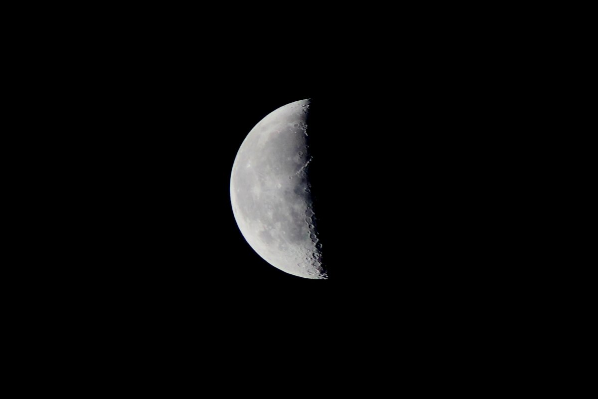 DavidAffray's tweet photo. Thank you for your #1linewed support!
#RestoreTheMoon
@akcaggiano
@byKatePrior
@NickPWilford
@Write2Fite
@paulphillips44
@NKelleherAuthor
@Jason_H_Abbott https://t.co/KUgQIstulb