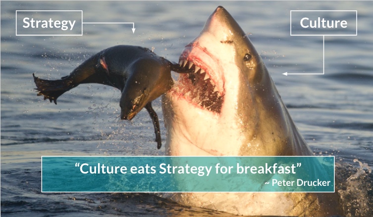 John Lovett tweet media