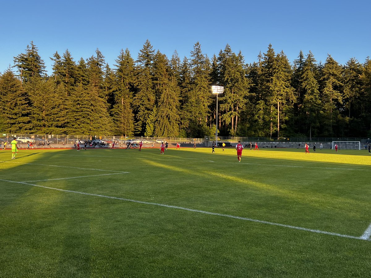 Sergio Del Piccolo 🇺🇦💙💛 tweet media