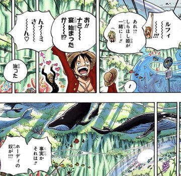 ワンピース 光月家はどのような一族 家族構成や世界との繋がりも 4ページ目 Selvy