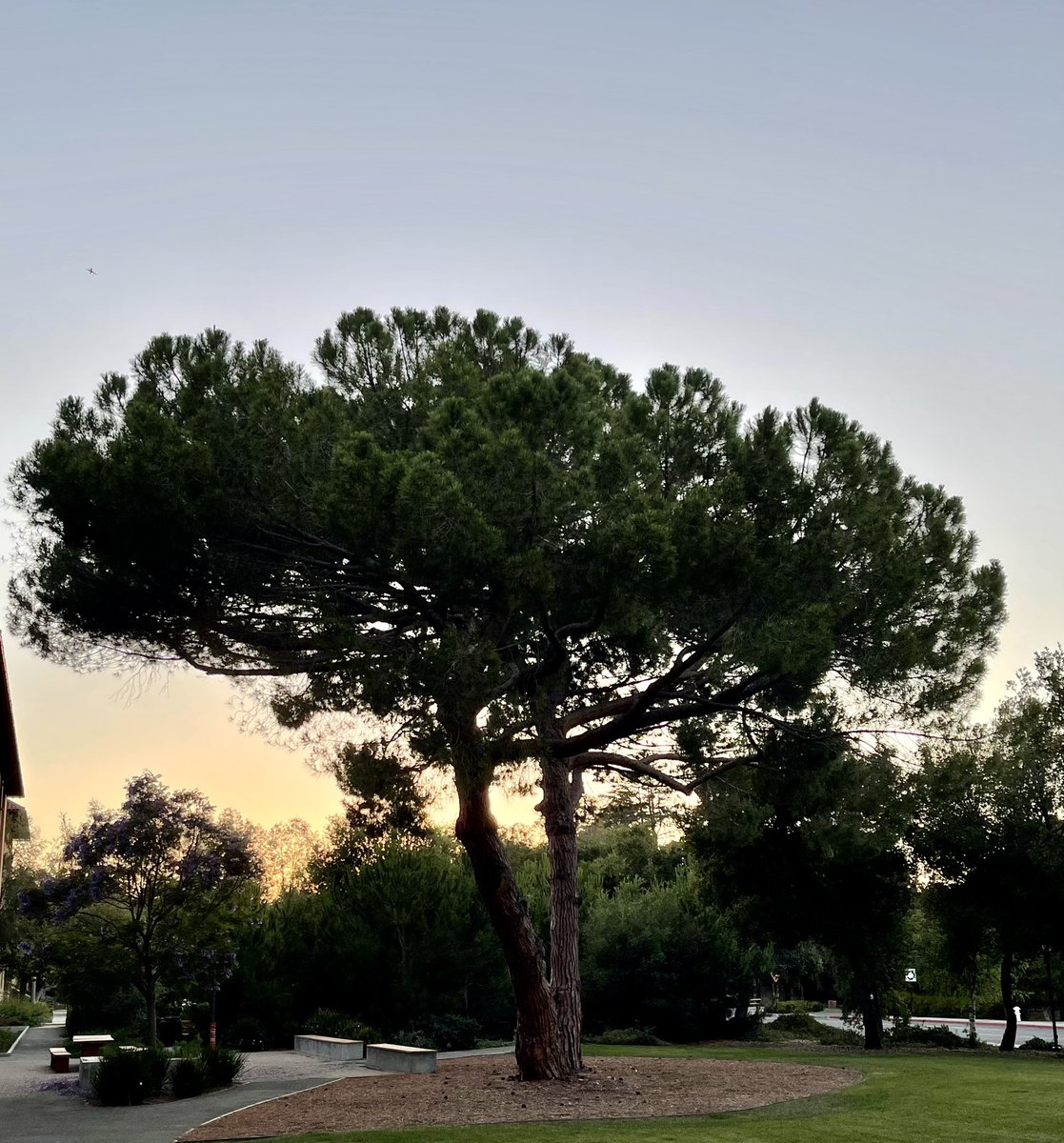 Hauskaa Juhannusta🌞🇫🇮