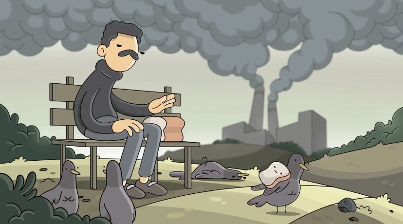 Before reveal.                      After reveal.