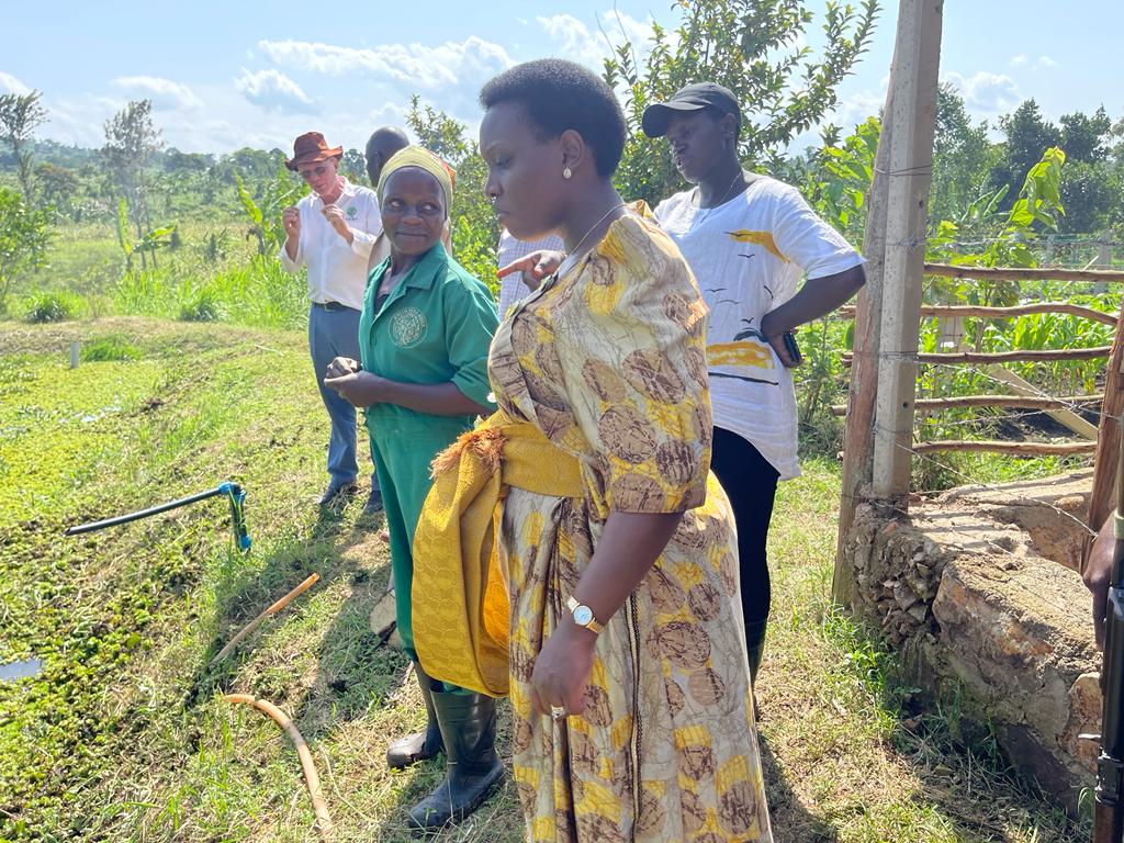 The future is in agriculture, this farmer on only 4 acres grows vegetables, zero grazing, fish #farming (ponds), rears pigs, chicken, &amp; goats, and processes fish feeds like maggots, and other animal feeds.
