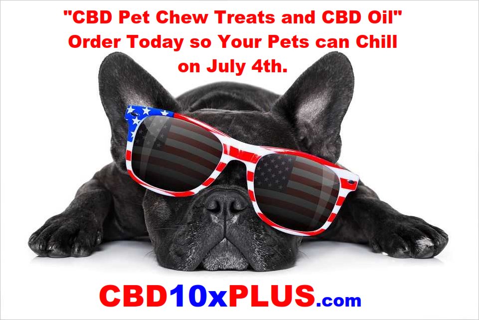 CashSaverPlus's tweet photo. The 4th of July is just around the corner. Are your pets ready for the fireworks?

Now is the time to order your CBDa Drops and CBDa Treats to help your pets stay calm during the POPS &amp; BOOMS that will be taking place.

Don't Delay, Order Today: https://t.co/4wYzwJ2SRg https://t.co/8YZpGEBaxx