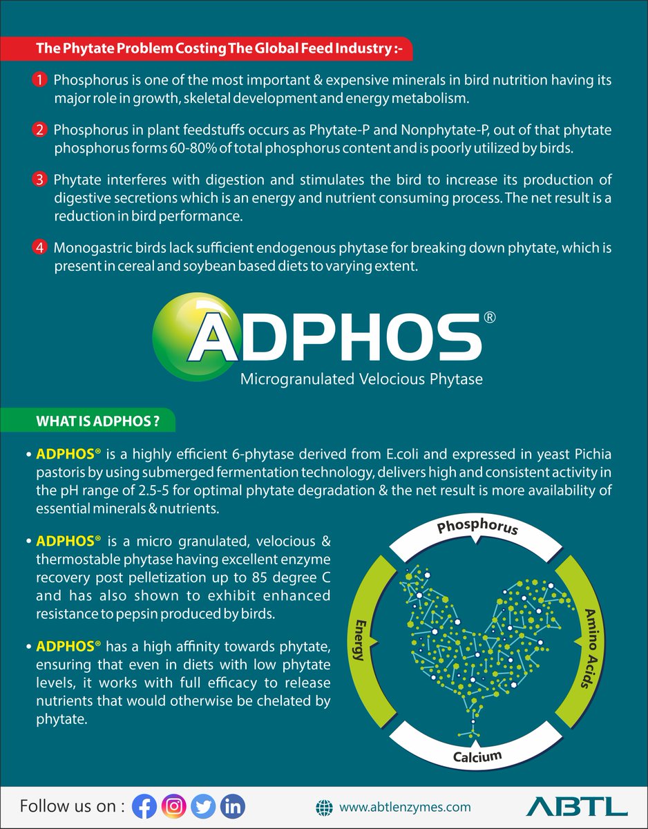 AbtlEnzymes's tweet photo. Minimize the anti-nutritional effects of Phytate and release nutrients by using ADPHOS.
ADPHOS-The Complete Solution to Breakdown Phytate.
For more details click on the link : https://t.co/rkNUmYrkHg
#ABTL #ADPHOS #phytase #Phytate #phosphorus #phytatebreakdown #antinutritional https://t.co/uLXW7bGNto