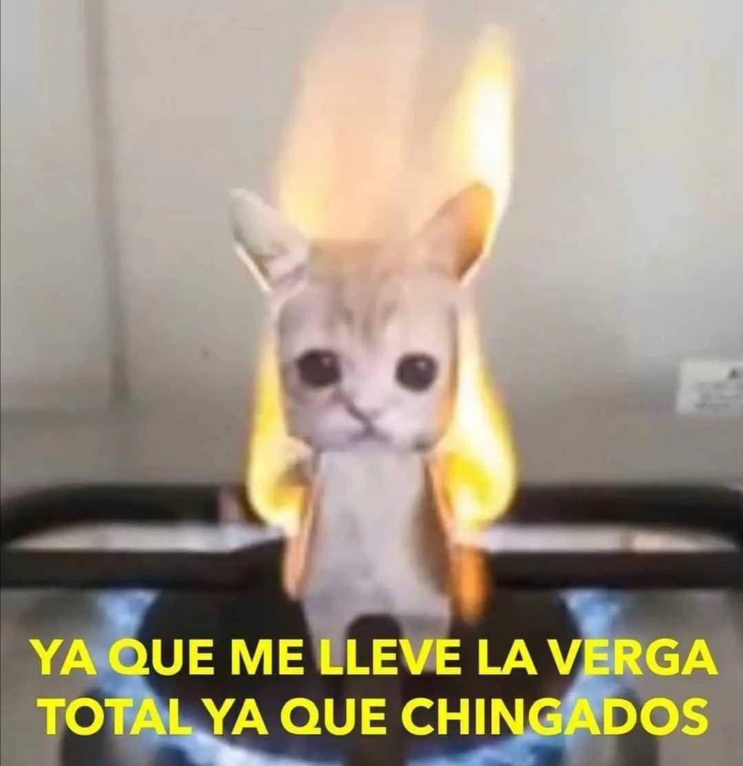 Yo en  exámenes