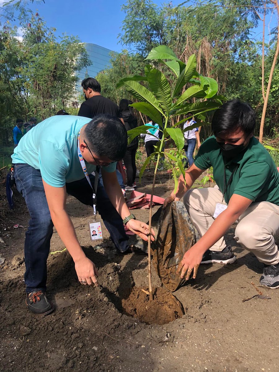 DENROfficial's tweet photo. LOOK: @AtingNayon partners with DENR in a tree planting activity on June 23 at the Nayong Pilipino Foundation 9.5-hectare property in Parañaque.
More than 100 trees with different saplings of various tree species were planted in celebration of #EnvironmentMonthPH.
📸@AtingNayon https://t.co/mRQ1bnKSAl