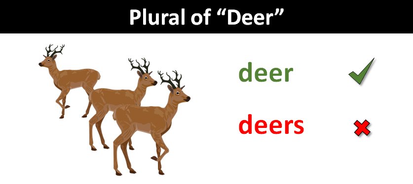 CSStarget's tweet image. #Singular vs #Plural Mistake
.
.
.
.
#english #mistake #grammer #pronunciationmistake #csstarget #grammarusage #deer #deers