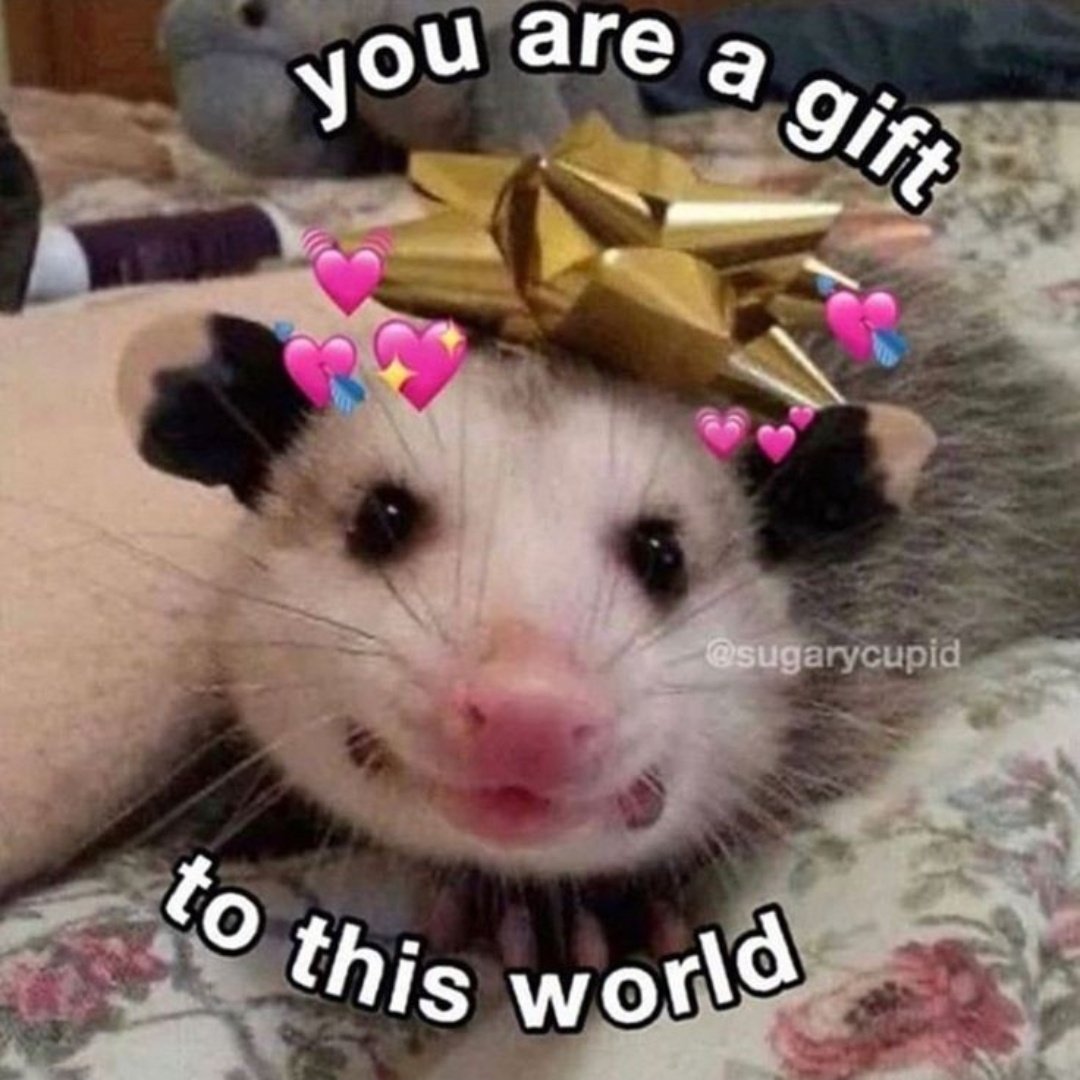 onlibiryani's tweet photo. EVERYONE SAY HAPPY BIRTHDAY TO THE COOLEST MUTUAL IK @nazerism10 <33 https://t.co/w4HW7fq89W