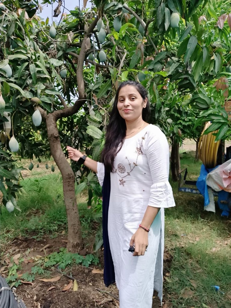 KundanBrahmani2's tweet photo. ‍ પંચાયતમાં ઓર્ગેનિક ફાર્મ ની  મુલાકાત... https://t.co/oLTbDNdrb5