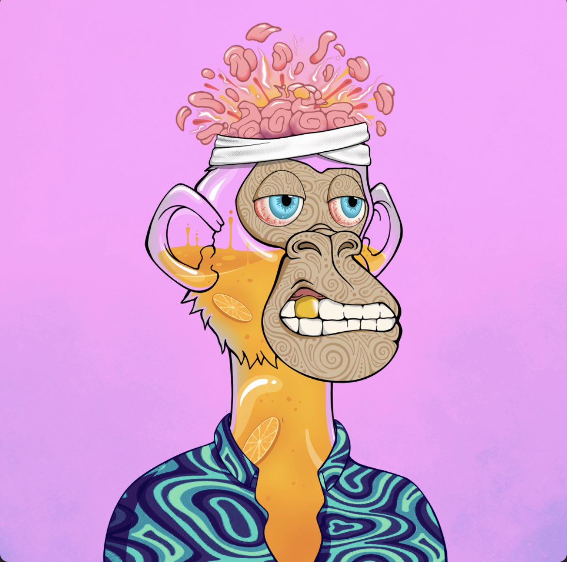 brunossgrt tweet media