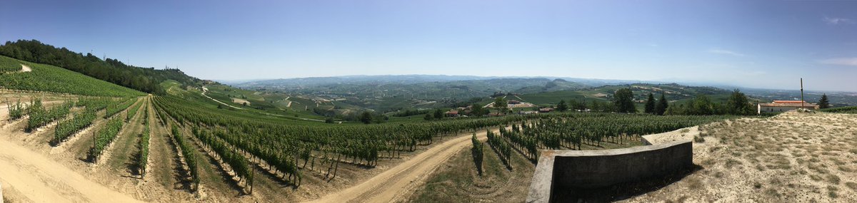 JaCoBOANguiAno's tweet photo. Dia 2
#BriccoDelleViole
#GDVajra #Piamonte #Barolo #Nebbiolo @minimalwines https://t.co/ZYdInFlfdQ