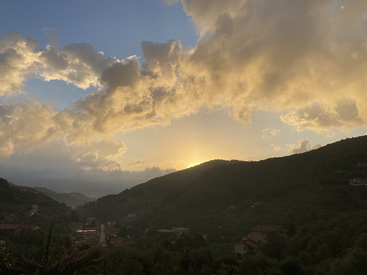 Dr Edana Minghella tweet media