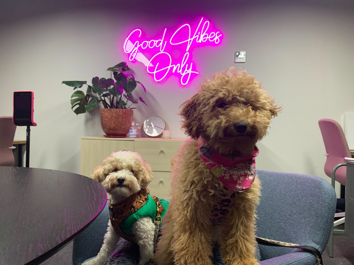 CarePage Business tweet media