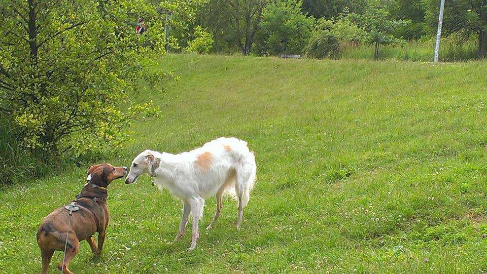 #beautiful_encounters