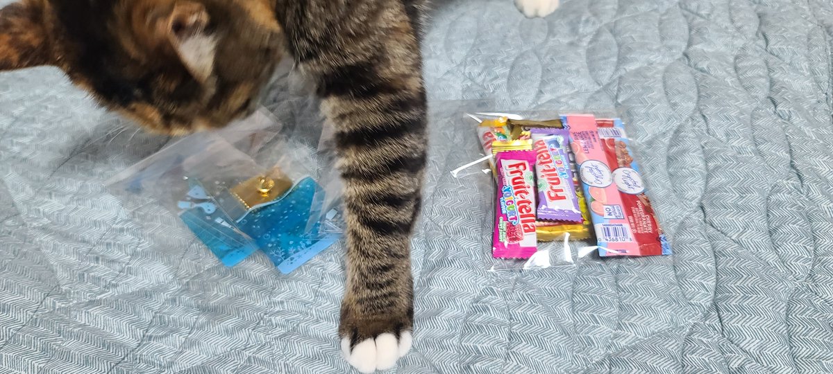 듀오🌸💜 tweet media