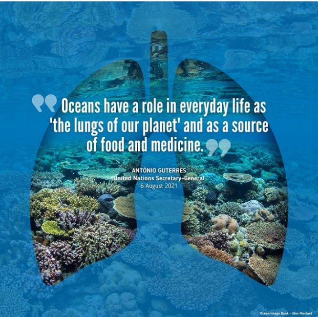 All4Sustainable (@sustainableall1) on Twitter photo 
