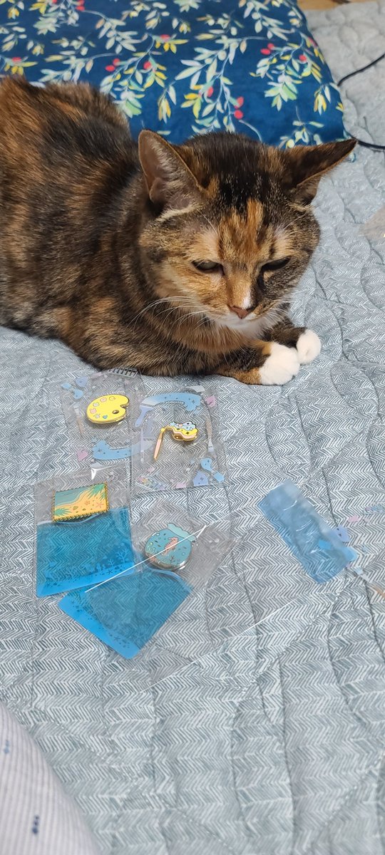 저의 원픽은 여름우표 뱃지에요 반짝반짝 넘 예쁘네요😇💫...원픽이라 확대샷도 찍어범...☆ 어항뱃지도 동글동글하고 넘 기욥읍니다ㅜㅜ투명 포카는 포카 사용법(이게 맞나요)을 해보려고 했는데 피사체가 봉투 갖고 노시느라 가만히 안계시네요🥲 따흑
덤으로 넣어주신 과자도 잘먹을게요!!!!❤️❤️❤️