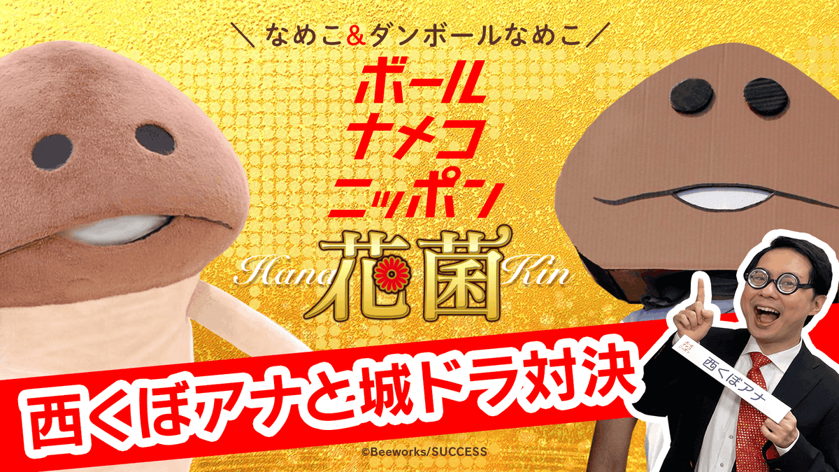 nameko_nnf's tweet photo. んふんふ！（今夜20時はBNN！）
んふんふ〜！（みんな見てね〜！）

【#bnn】ボールナメコニッポン花菌 第18回「西くぼアナと城ドラ対決」 https://t.co/riPYqzqFe6 @YouTubeより https://t.co/jU8YgswR4d