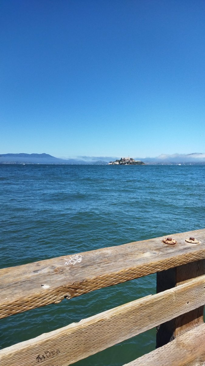 SteveSuppy's tweet photo. went to san fran and saw a bunch of buildings and pride flags which made me very Peepi https://t.co/Q9sl2yag33