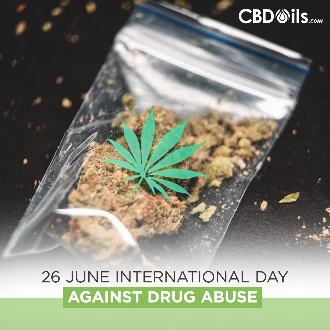 CBDOils_com's tweet photo. CBD is a non-intoxicating cannabinoid that is found in the cannabis plant, could reduce drug craving and anxiety. #cbd #internationaldrugabuseday https://t.co/mBnDOPkiZa