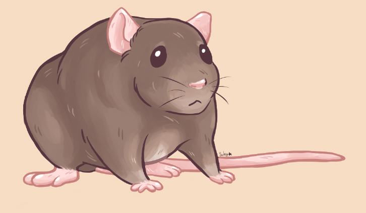 Sukiyama's tweet photo. Thanks for your patience, i know it's been a while but here's today's Rat.
And remember: Rat is short for Ratthew ~
(and some variants of this meme)
#ratmeme #rat #cuteart https://t.co/pzbOMAL8Fw