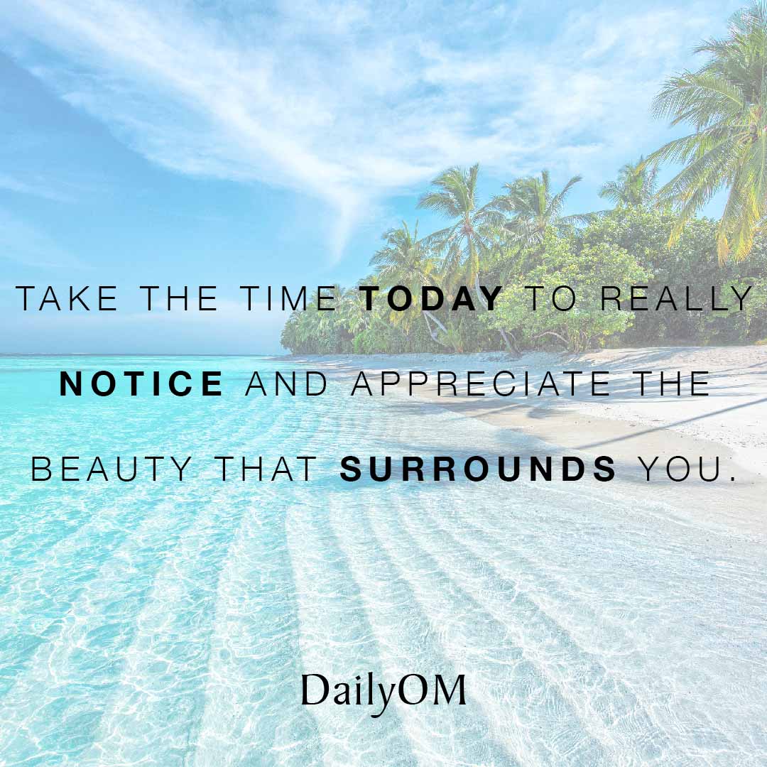 dailyom's tweet photo. Take the time today to really notice and appreciate the beauty that surrounds you. #DailyOM #Quotes #QOTD #Nature #NaturalRealm #TuningIn #Pausing #Beauty https://t.co/HdZjZOcCNh