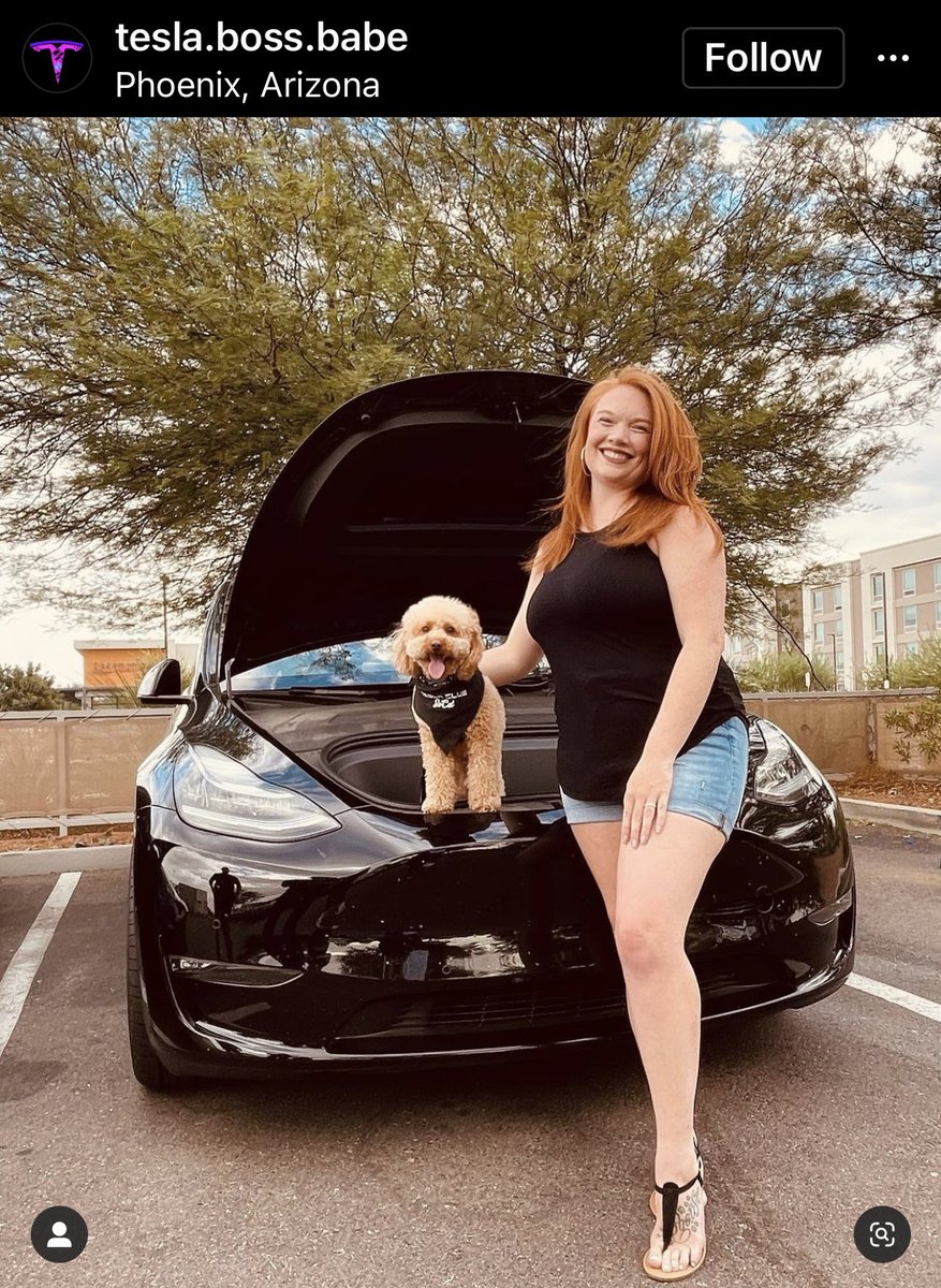 28delayslater's tweet photo. #frunkpuppy https://t.co/1whzJpA5kU https://t.co/fdtz221uMB