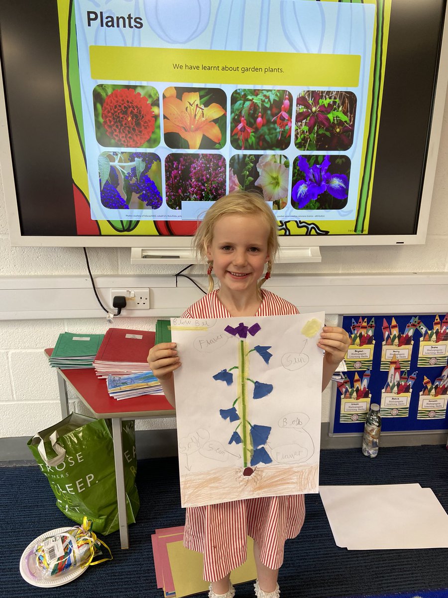 BGS_LowerSch's tweet photo. Look at Year 1โs wonderful flowers! They were learning about the structure and function of parts of a flower in Science and used a range of media to create their own. #BGS_LowerSch #BGS_Science #BGS_Collaboration #BGS_Independence https://t.co/gbBSz3JwbF