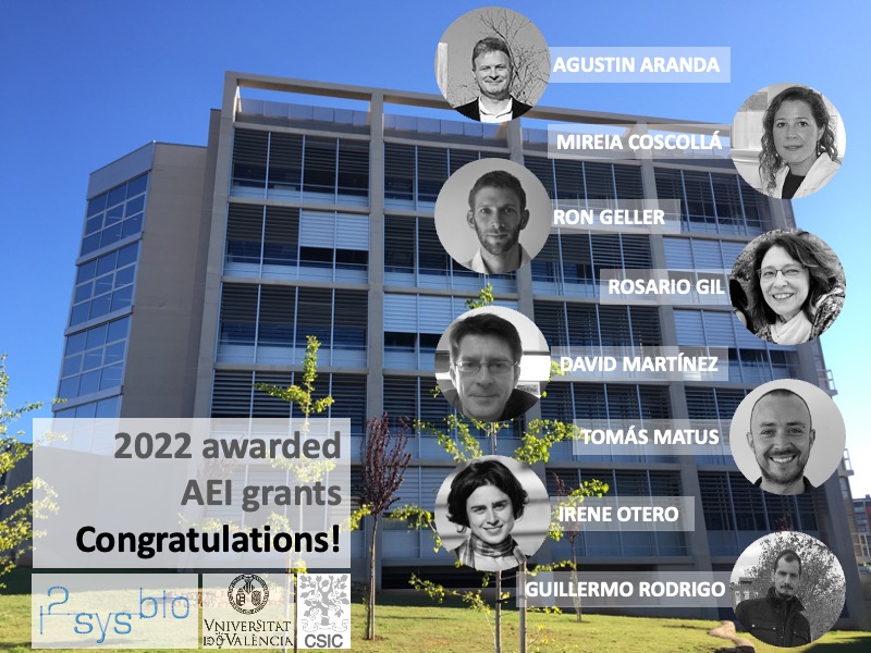 i2sysbio's tweet photo. New 2022 AEI grants awarded to our PIs @AgustinArandaF @MMolWineYeast Mireia Coscollá @gen_uv @RonGellerLab Sari Gil, David Martínez, @jtmatus @Otero_Muras @G1Rodrigo Good job! https://t.co/amU9UAvdLl