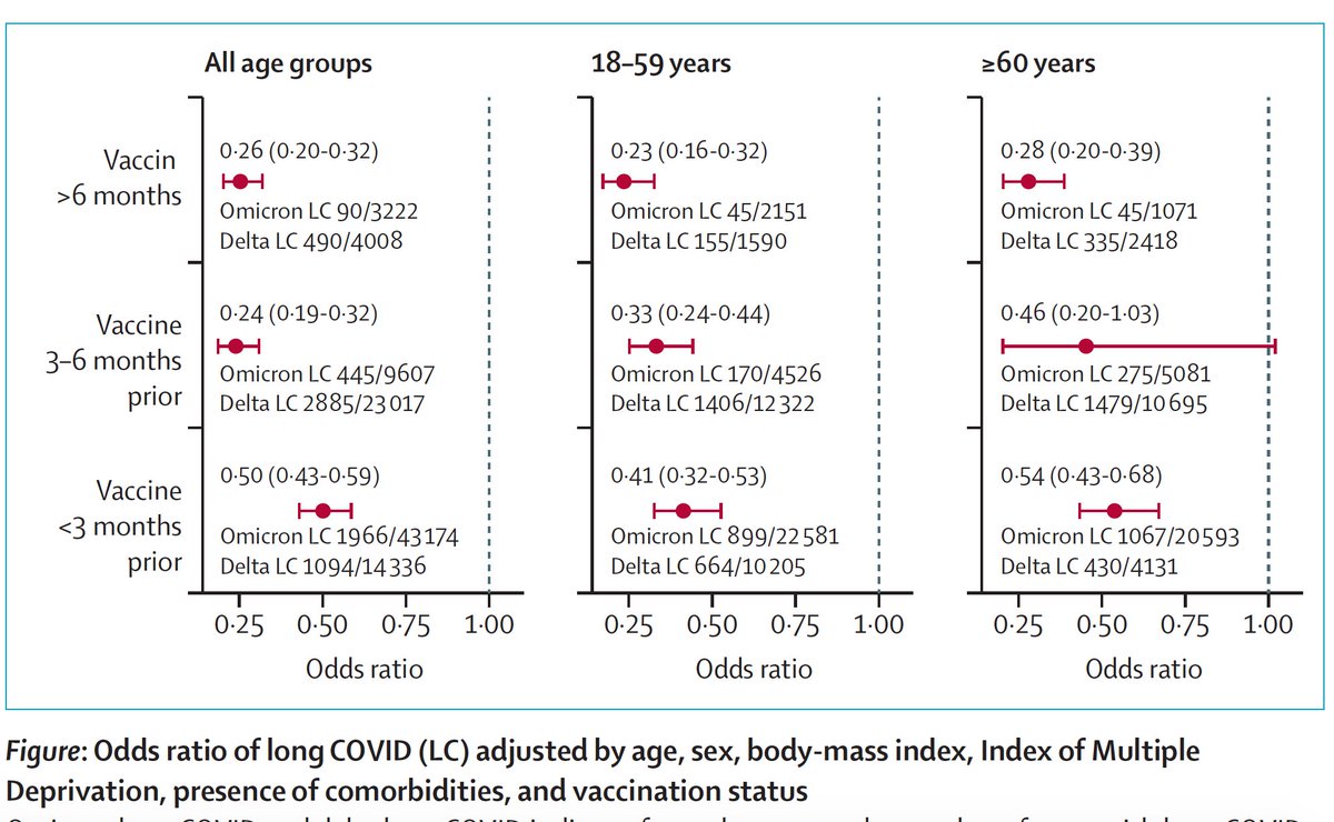 Eric Topol (@erictopol) on Twitter photo Substantial (~50-75%) reduction of #LongCovid with Omicron compared with Delta variant, magnitude influenced by age and time since vaccination <a href="/TheLancet/">The Lancet</a>
thelancet.com/journals/lance… Substantial (~50-75%) reduction of #LongCovid with Omicron compared with Delta variant, magnitude influenced by age and time since vaccination <a href="/TheLancet/">The Lancet</a>
thelancet.com/journals/lance…