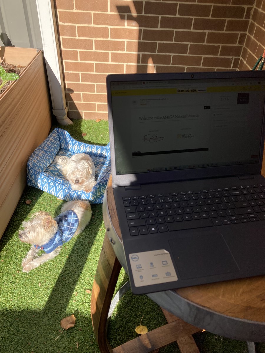 Pipt13's tweet photo. Congratulations to all winners and nominees at the MAPDA’s at #AMaGA2022! Watching from afar with my furry peeps, loving the MCing of 
@FamousSharron
 👍😃🎉#JustAnotherDayInTheACT Shout out to 
@NFSAonline
 on two Highly Commended’s! https://t.co/EjplpjAv76