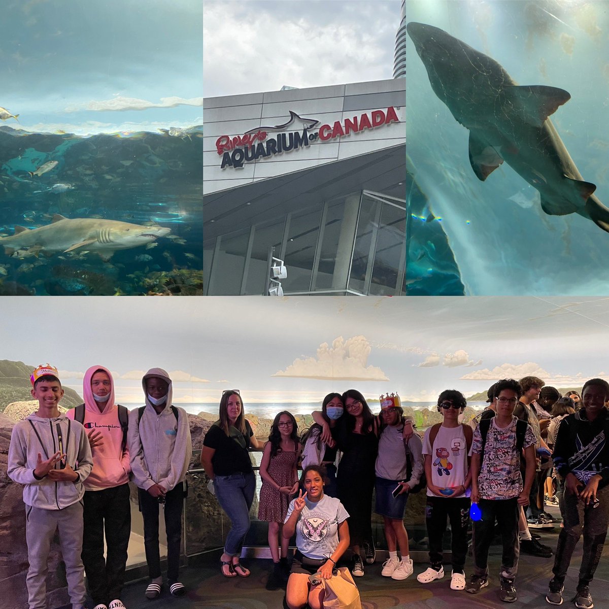 Mrs_Davidsclass's tweet photo. Grad trip to Toronto! @MedievalTimes @RipleysAquaCA #CNTower https://t.co/CTiS7P2E6J