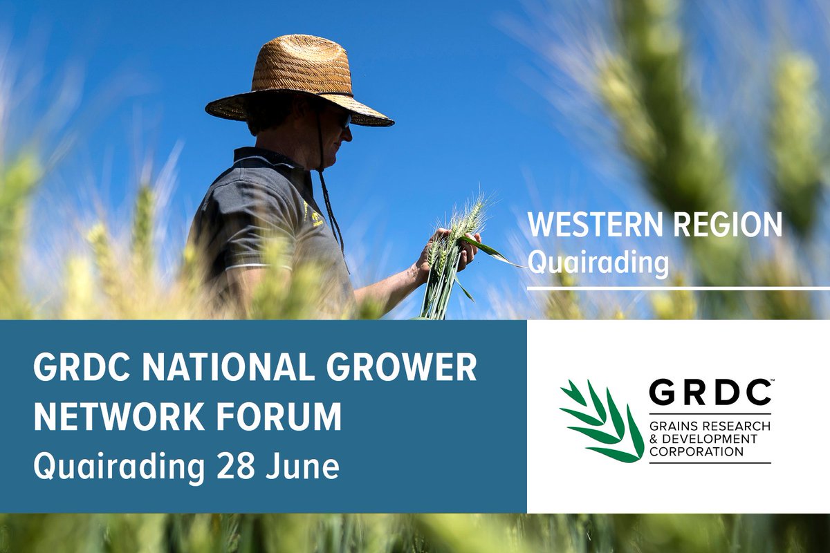 📢 Event <a href="/theGRDC/">GRDC</a> NGN Forum – Quairading, 3-7pm, Tuesday 28 June. 

Speakers include <a href="/AllanRattey/">Allan Rattey</a>, InterGrain, a new era for oat breeding &amp; <a href="/jeangalloway14/">Jean Galloway</a>, DPIRD, canola disease management. 

Free refreshments and dinner, families welcome. 

Register ➡️ bit.ly/3xx03JA