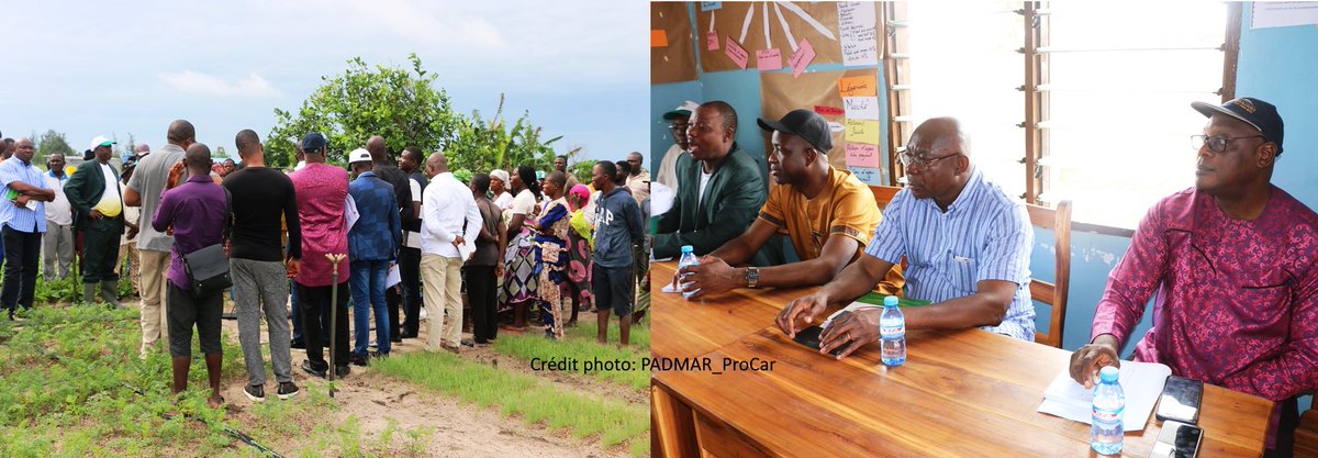 benin_procar's tweet photo. Poursuite de la mission de supervision des activités de PADMAR
Au 2e jour de la visite de supervision des activités du #PADMAR, les experts de l'équipe N°1 conduite par M. Damien NGENDANAYO ont échangé avec les maraîchers de #GrandPopo et les cadres de l'#ATDA de #Bohicon. @IFAD https://t.co/4BhBEi5Wyy